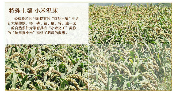 沁州黄小米（一级) 农家小米 有机小米 农家贡米 杂粮特产_6